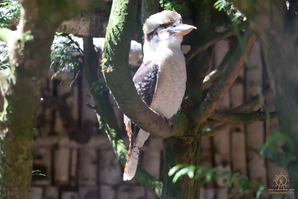 Wild- und Freizeitpark Klotten Themeparkz